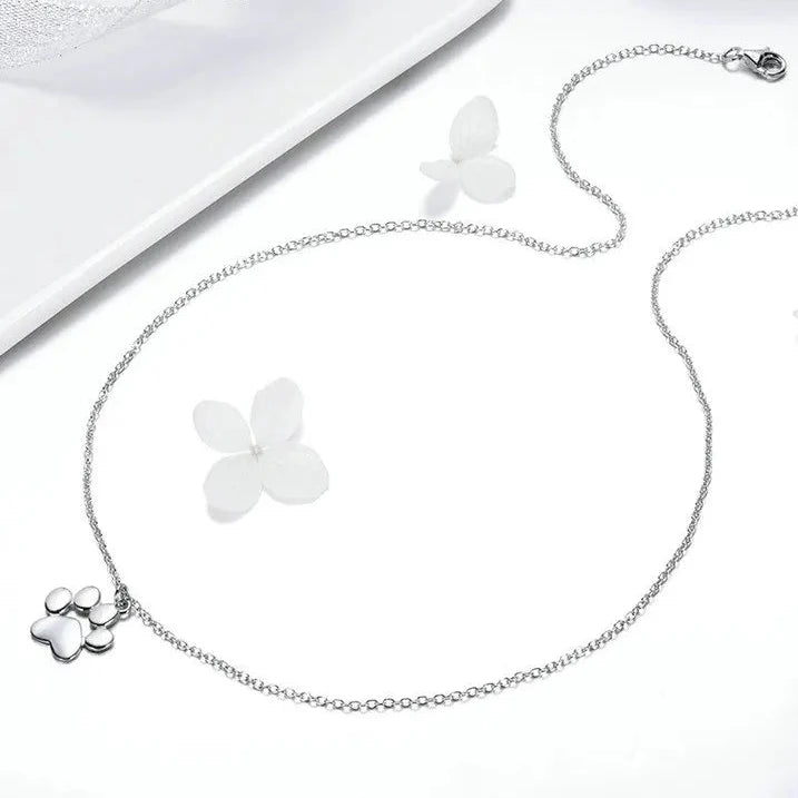 elegant patte de chat