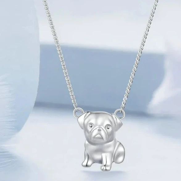 Accessoire chien sophistiqué