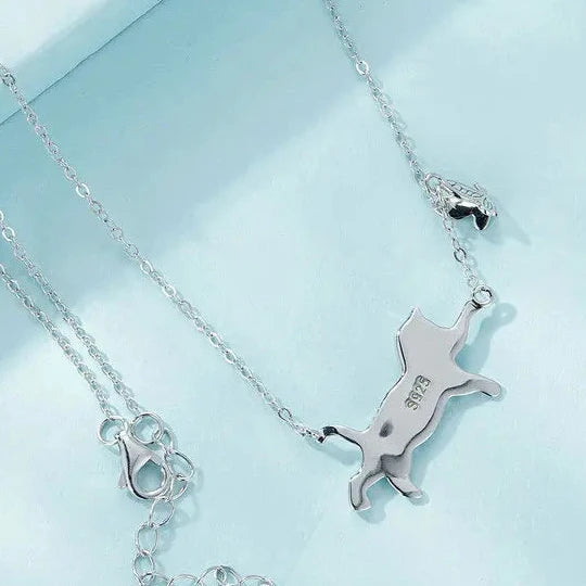 collier élégant pour chat